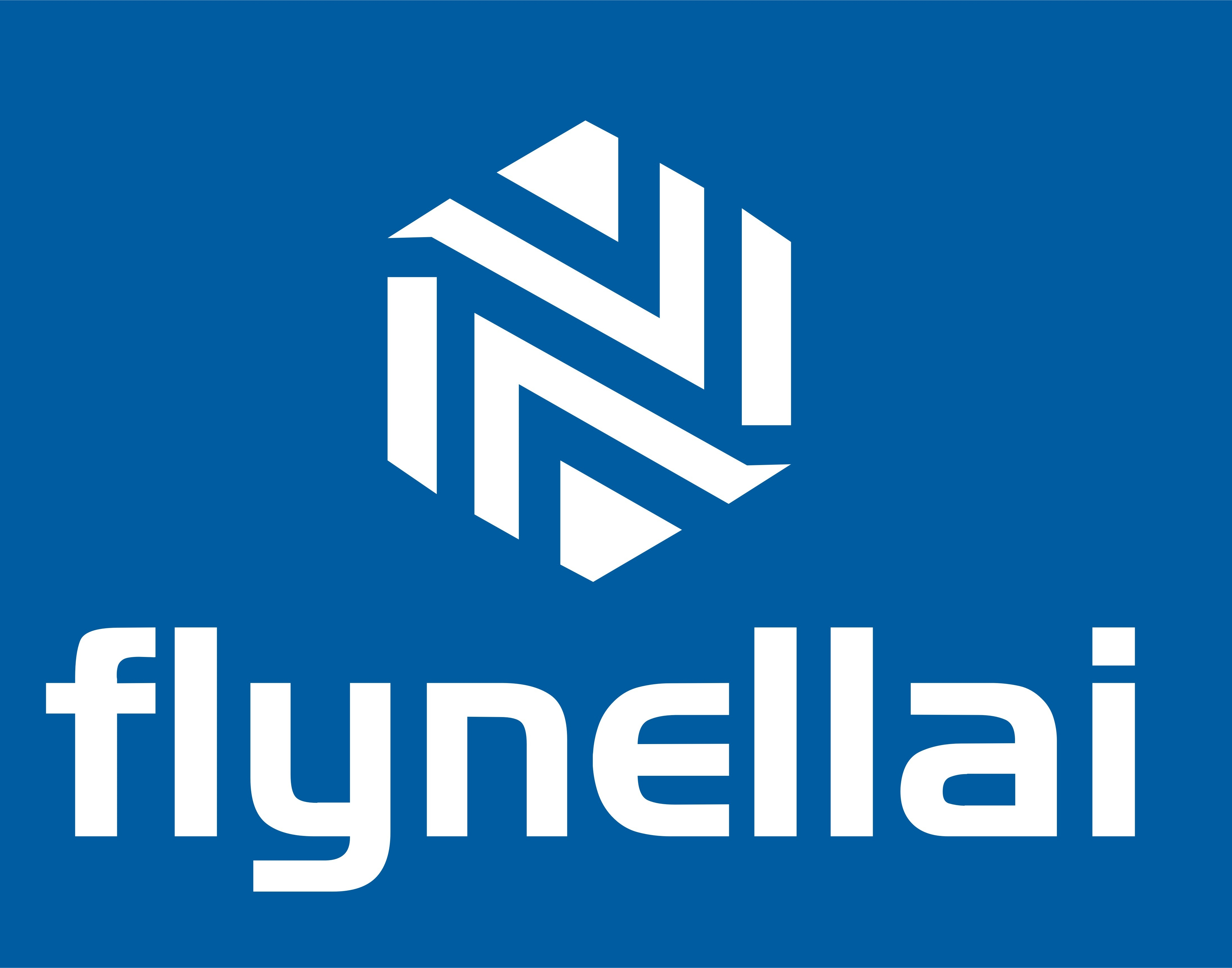 fly nellai